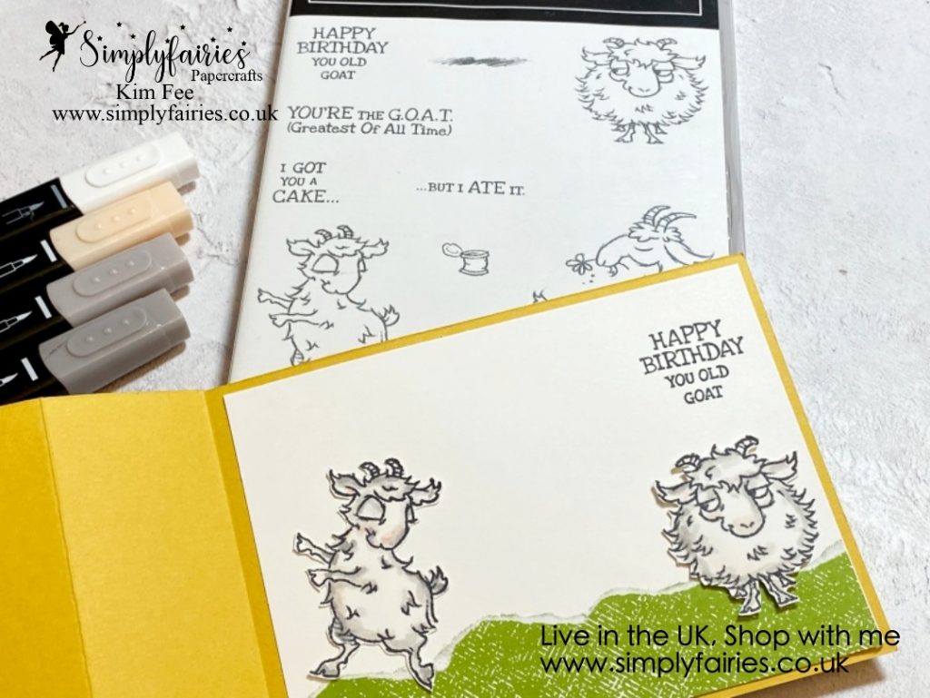 fun fold, bay window fold card, way to goat stamp set, stampin up, handmade cards, simple stamping.