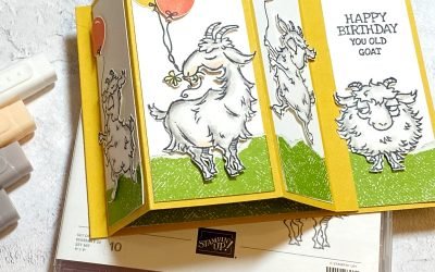 Video on how to make a Bay Window Fun Fold Card.
