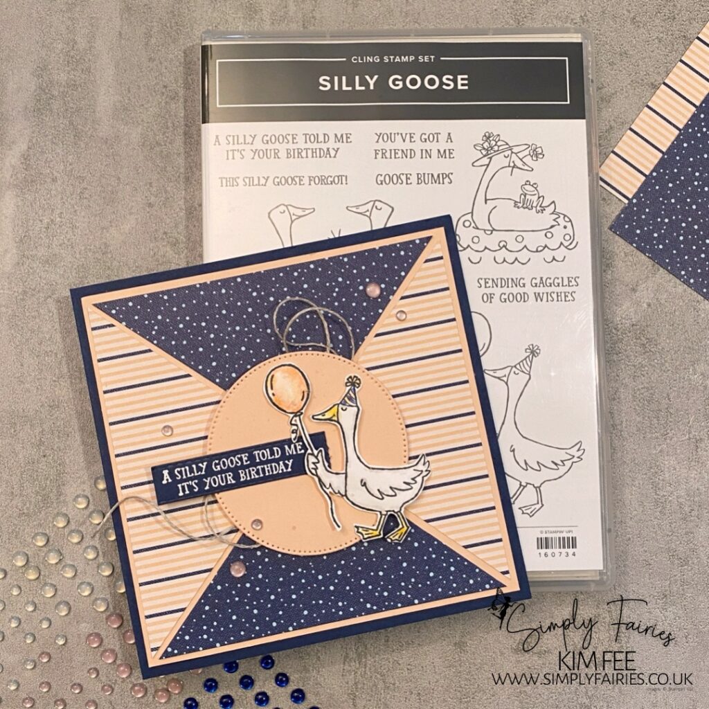 silly goose stamp set, #JAI637, sketch challenge, stampin up, birthday cards, how to video